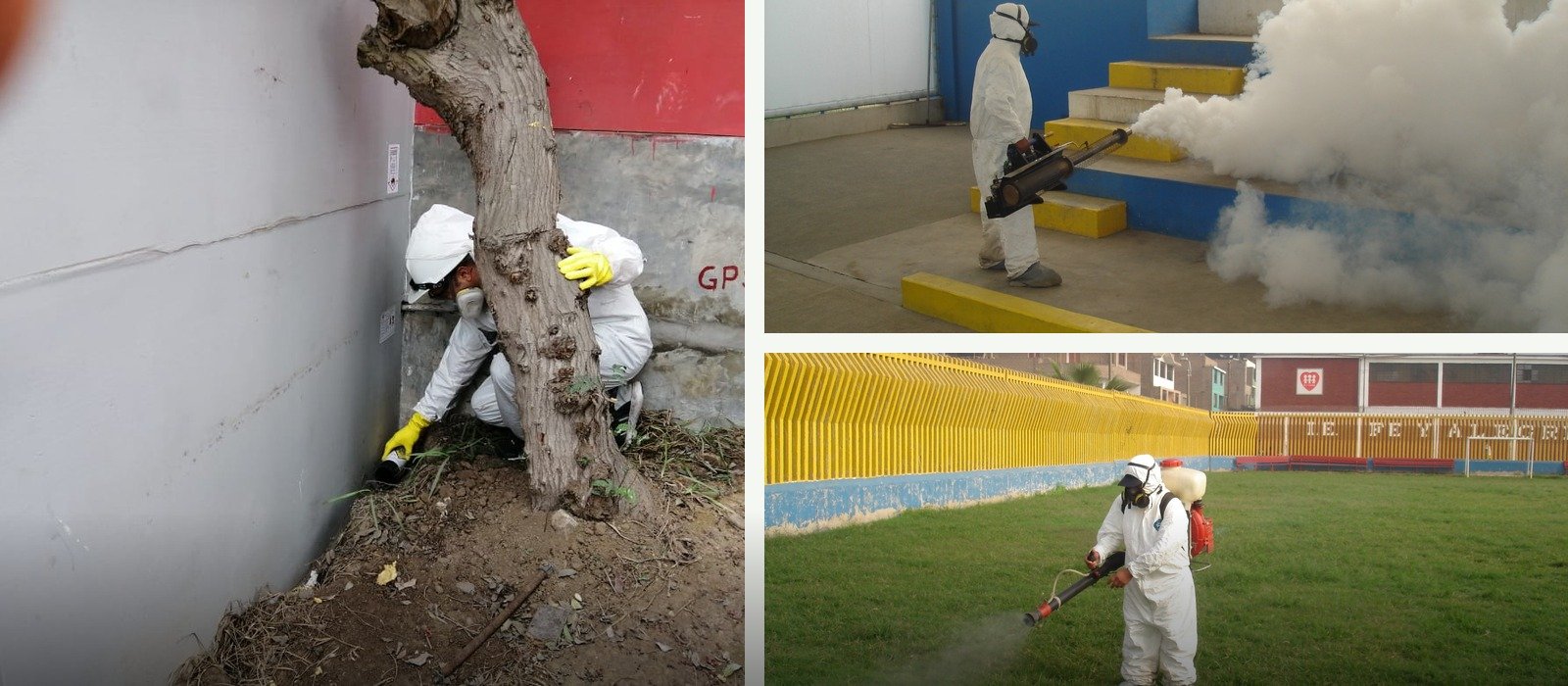 Saneamiento ambiental